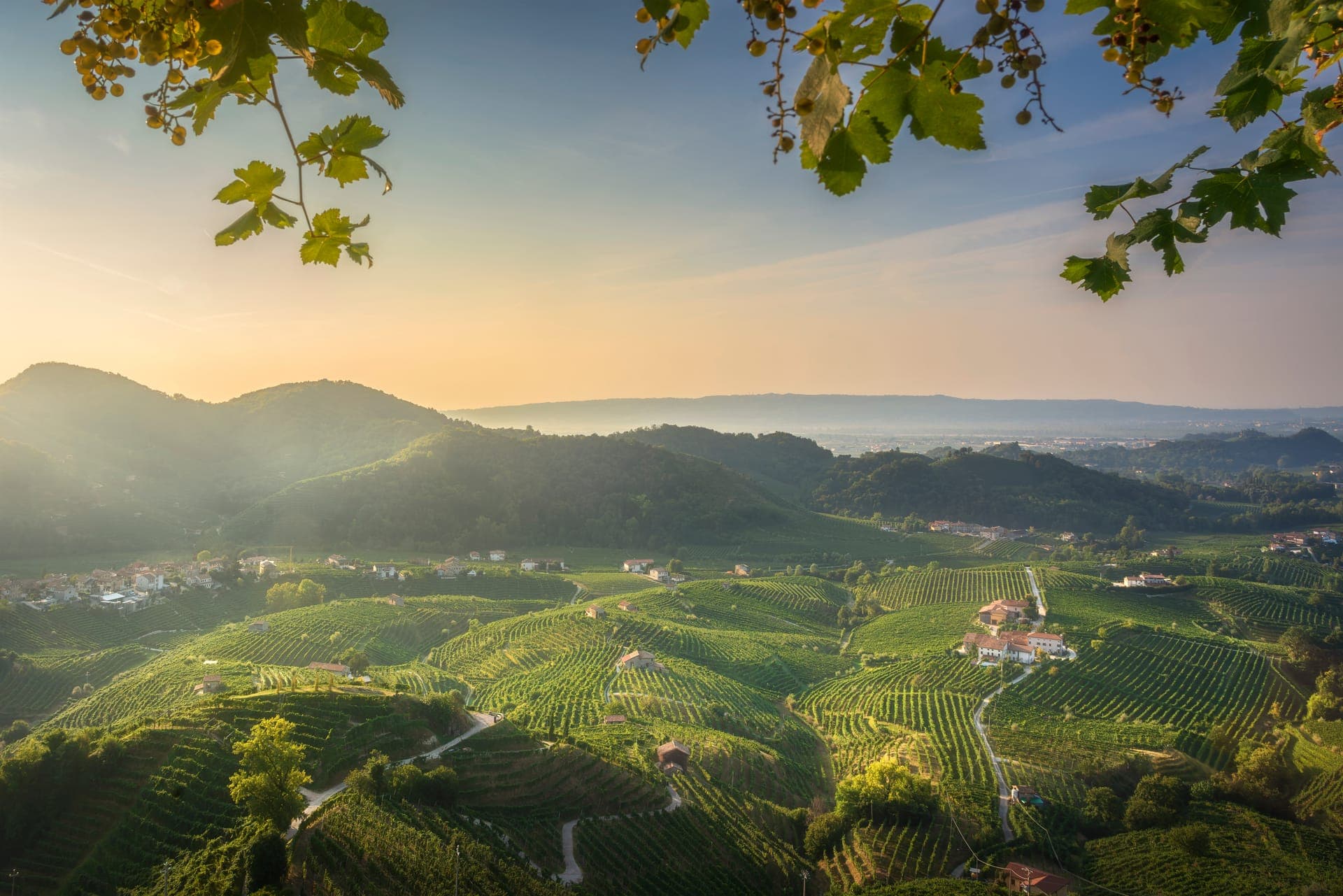 Paesaggio piemontese al tramonto